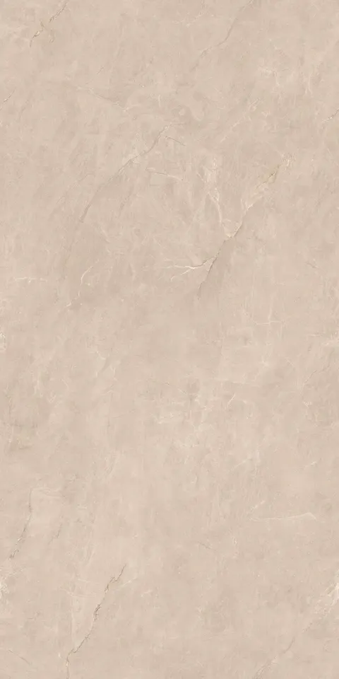 ALONZO CREMA view 5